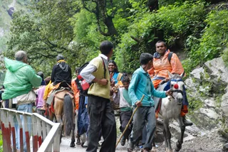 Yamunotri Walk - 91--DSC_0024_watermarked.JPG