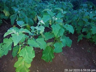 June 05 2021