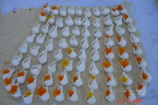 Nithyanandam Morning - watermark_DSC00019.JPG
