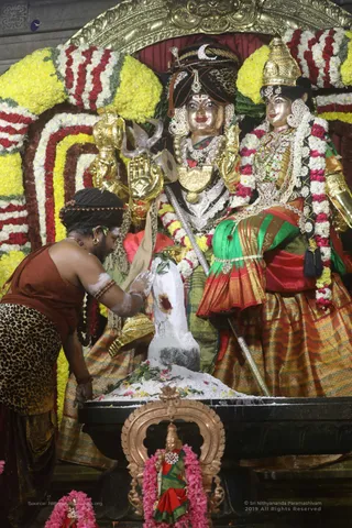 Swayambhulingaabhishekam - 7T7A9474.jpg