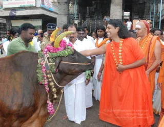 Visit-To-Arunachaleshwara-Temple - 02--Swamiji-Feeding-and-blessing-sacred-cow_4.jpg