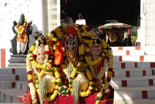 Homa - DSC_0204_watermarked.jpg