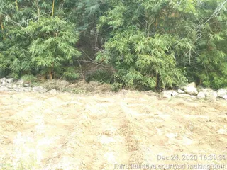 June 06 2021