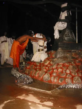 Dakshinamurthy Moolavar Abhishekam - ShivRathri_2005_ashram (29)_watermark.jpg