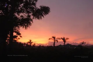 Nature - DSC_9019_watermark.JPG