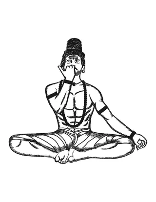 Bhujangasana