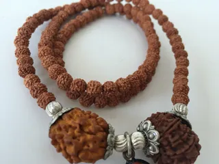 10 and 11 Mukhi Rudraksha