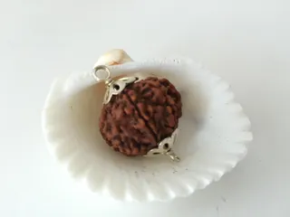 4 Mukhi Rudraksha