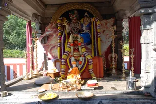 Homa - DSC_0242_watermarked.jpg