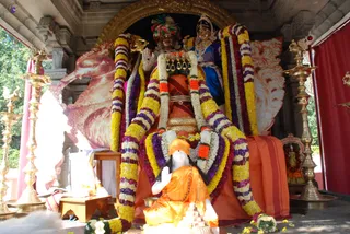 Homa - DSC_0254_watermarked.jpg