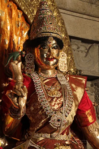 Temple - 13--IMG_1158_watermarked.jpg