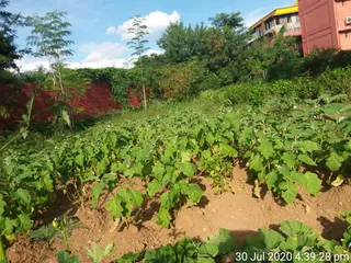 June 05 2021
