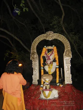 Glimpses-From-Organisers-Meet - DSC04893.jpg