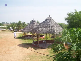 Ashram - 100_2136_watermark.JPG