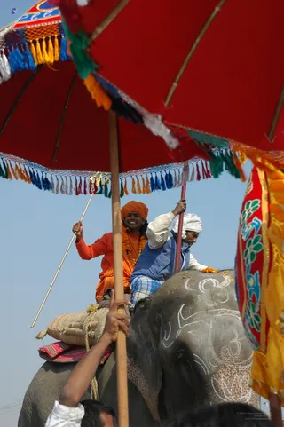 Elephant Ride - india-Ashram-Dic.30-31-1 -.05-06 284_watermarked.jpg