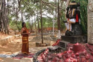 Temple Swamiji - IMG_3822.jpg