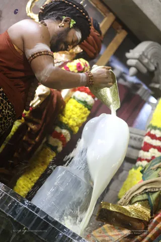 Swayambhulingaabhishekam - 7T7A9222.jpg