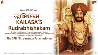 Rudrabhishekam: Experience Power Manifestation (Edition 3) (Book)