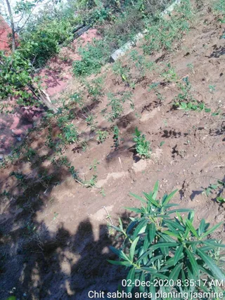 June 06 2021