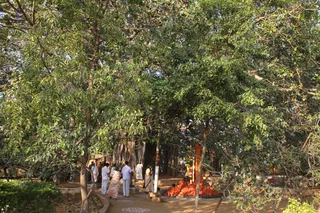 Temple - batch_IMG_8483.JPG