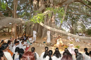 Shivasutras - Dsc_0126_watermark.JPG