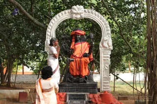 Banyan-Tree - watermark_IMG_6743.JPG
