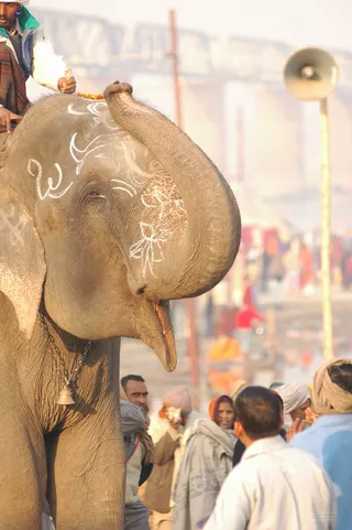 Glimpses Of Kumbh - india-Ashram-Dic.30-31-1 -.05-06 176_watermarked.jpg