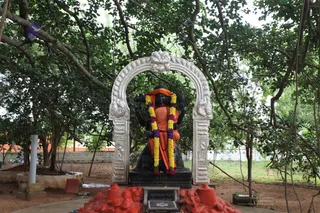 Banyan-Tree - watermark_IMG_5013.jpg
