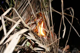 Dheepam - 05--IMG_0692_watermarked1.JPG