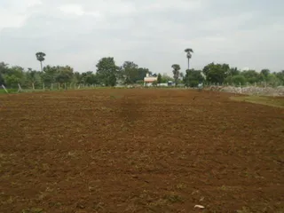 Kailasa Paramparagatha Arunagiri Yogishwara Adi Arunachala Sarvajnapeetha Samrajyam