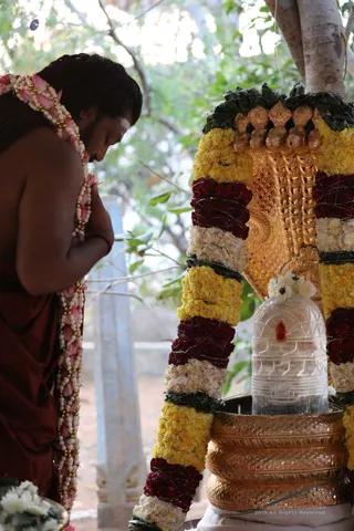 Mattupongalcelebrations - 7T7A9938.jpg