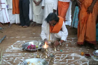 Mattu-Pongal - batch_IMG_9769.jpg