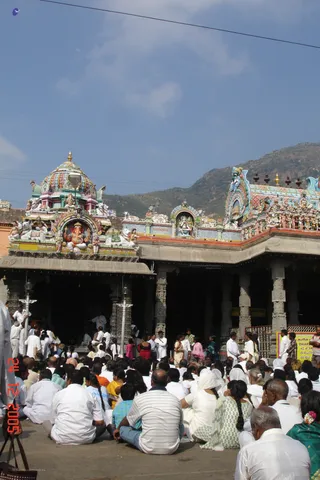 With Shivacharyas - DSC00002_watermarked.jpg