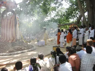 Arathi - ShivRathri_2005_ashram (256)_watermark.jpg