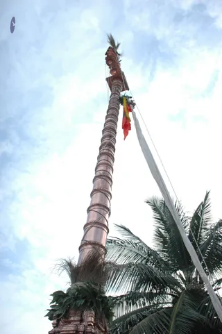Flag-Hoisting-By-Swamiji - DSC_0523.JPG