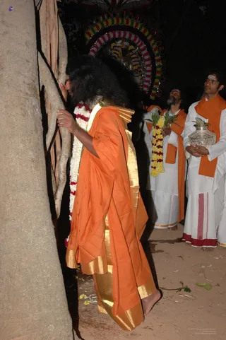 Kumbhabhishekam-Banyan - DSC_0239_watermarked.jpg