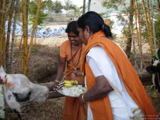 Mattu-Pongal - batch_DSCN5650.JPG