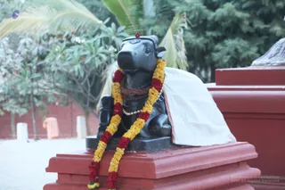 Temple - 07--IMG_3525_watermarked.JPG