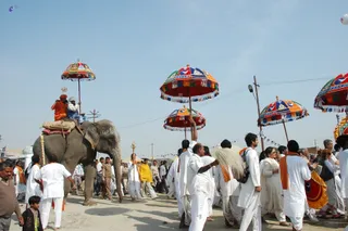 Elephant Ride - india-Ashram-Dic.30-31-1 -.05-06 291_watermarked.jpg