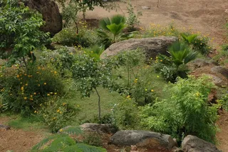 Kailasa Paramparagatha Arunagiri Yogishwara Adi Arunachala Sarvajnapeetha Samrajyam