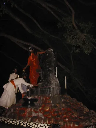 Dakshinamurthy Moolavar Abhishekam - ShivRathri_2005_ashram (23)_watermark.jpg
