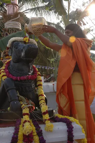 Kumbhabhishekam-Nandhi - DSC_0469_watermarked.jpg