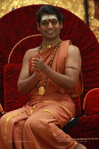 Swamiji Pics - 8Oct2012_IMG_0537_swami-hand.jpg