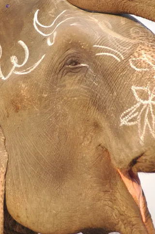 Glimpses Of Kumbh - india-Ashram-Dic.30-31-1 -.05-06 179_watermarked.jpg