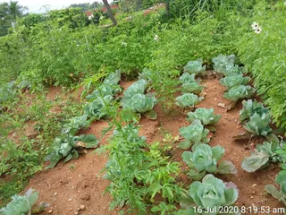 June 05 2021
