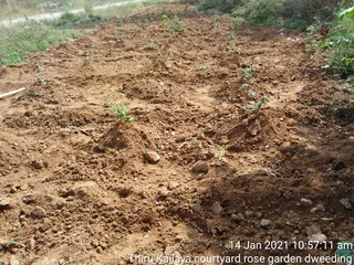 June 06 2021