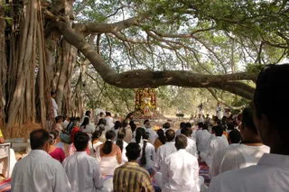 Shivasutras - Dsc_0146_watermark.jpg