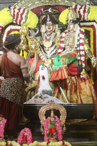 Swayambhulingaabhishekam - 7T7A9445.jpg