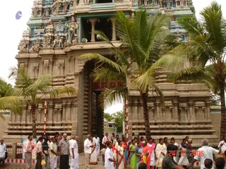 Kodikkan-Ratha-Yatra - batch_Picture 479.jpg