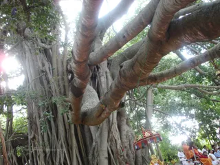 Poorvanga Rituals - DSC03718_watermark.JPG
